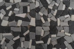 msk0009