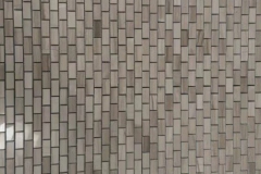 msk0013
