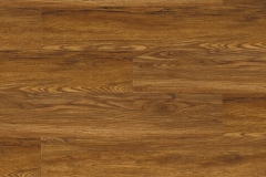 Shaker Maple